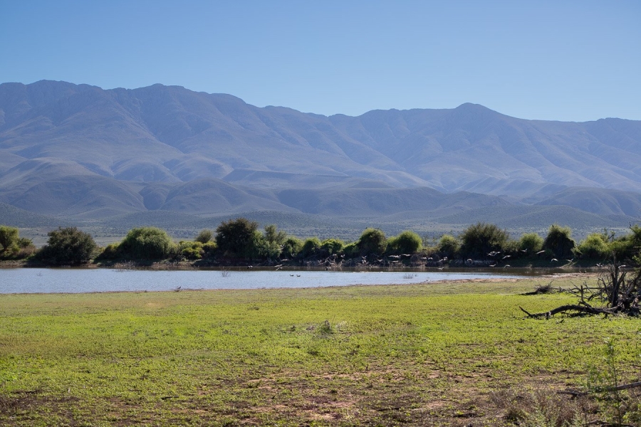  Bedroom Property for Sale in Oudtshoorn Rural Western Cape